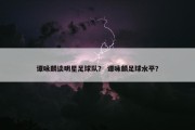 谭咏麟谈明星足球队？ 谭咏麟足球水平？