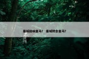 曼城敲响皇马？ 曼城转会皇马？