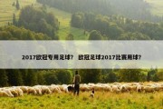 2017欧冠专用足球？ 欧冠足球2017比赛用球？