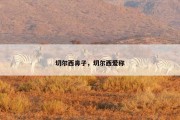 切尔西鼻子，切尔西爱称