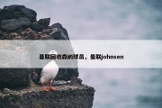 曼联回收森纳球员，曼联johnsen