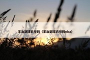 王治郅球衣号码（王治郅球衣号码nba）