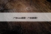 广东bana联赛？ 广东省联赛？