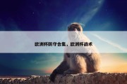 欧洲杯防守合集，欧洲杯战术