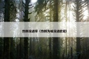 热刺没进球（热刺为啥没进欧冠）