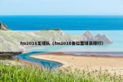 fm2018足球队（fm2018各位置球员排行）
