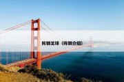 陈钢足球（陈钢介绍）