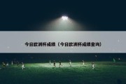 今日欧洲杯成绩（今日欧洲杯成绩查询）