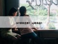 NT球衣仓库？ nj球衣店？