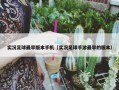 实况足球最早版本手机（实况足球手游最早的版本）