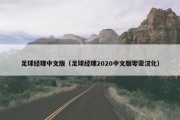 足球经理中文版（足球经理2020中文版零壹汉化）