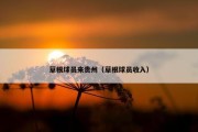 草根球员来贵州（草根球员收入）