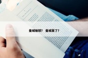 曼城输球？ 曼城赢了？
