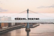 财团成足球队，财团是干嘛的