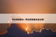 荷兰球员薪水（荷兰球员薪水怎么样）