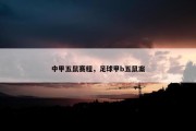 中甲五鼠赛程，足球甲b五鼠案