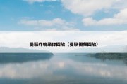 曼联昨晚录像回放（曼联视频回放）