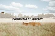 茅台投资足球队事件？ 足坛茅台厂？