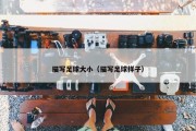 描写足球大小（描写足球样子）