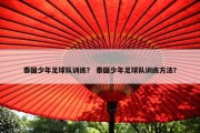 泰国少年足球队训练？ 泰国少年足球队训练方法？