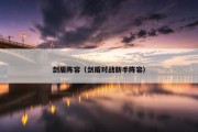 剑盾阵容（剑盾对战新手阵容）