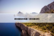 切尔西技术风格（切尔西分析）
