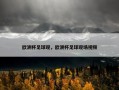 欧洲杯足球现，欧洲杯足球现场视频