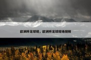 欧洲杯足球现，欧洲杯足球现场视频