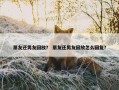 朋友还男友回放？ 朋友还男友回放怎么回复？