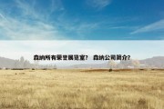 森纳所有荣誉展览室？ 森纳公司简介？