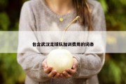 包含武汉足球队加训费用的词条