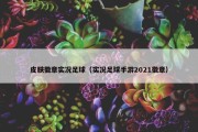 皮肤徽章实况足球（实况足球手游2021徽章）