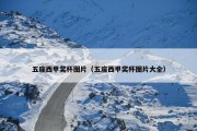 五座西甲奖杯图片（五座西甲奖杯图片大全）