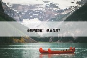 基恩有欧冠？ 基恩足球？