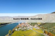 fm2017青训合同，fm2018青训