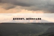 曼巴球衣帅气，曼巴球衣什么意思