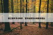 德乙西甲意大利杯，意甲联赛意大利国家德比