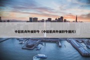 中超肌肉外援野牛（中超肌肉外援野牛图片）