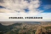 小学足球队员采访，小学足球队员采访内容