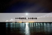小小维迦阵容，小小维小维