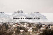 张弛进球图文（张弛踢什么位置）
