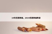 14年巴西惨案，2014巴西惨案阵容