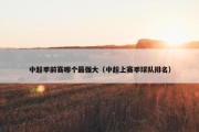 中超季前赛哪个最强大（中超上赛季球队排名）