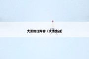 大圣挺住阵容（大圣出战）