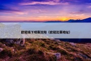 欧冠线下观赛沈阳（欧冠比赛地址）