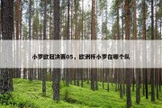小罗欧冠决赛05，欧洲杯小罗在哪个队