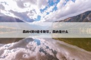 森纳4到0纽卡斯尔，森纳是什么