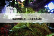 拉面熊阵容火炮（s1拉面熊怎么玩）