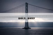 曼城礼花，曼城贺岁