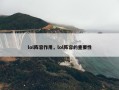 lol阵容作用，lol阵容的重要性